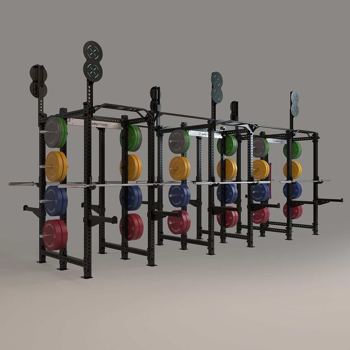 Pulse Fitness Functional training rigs (15)