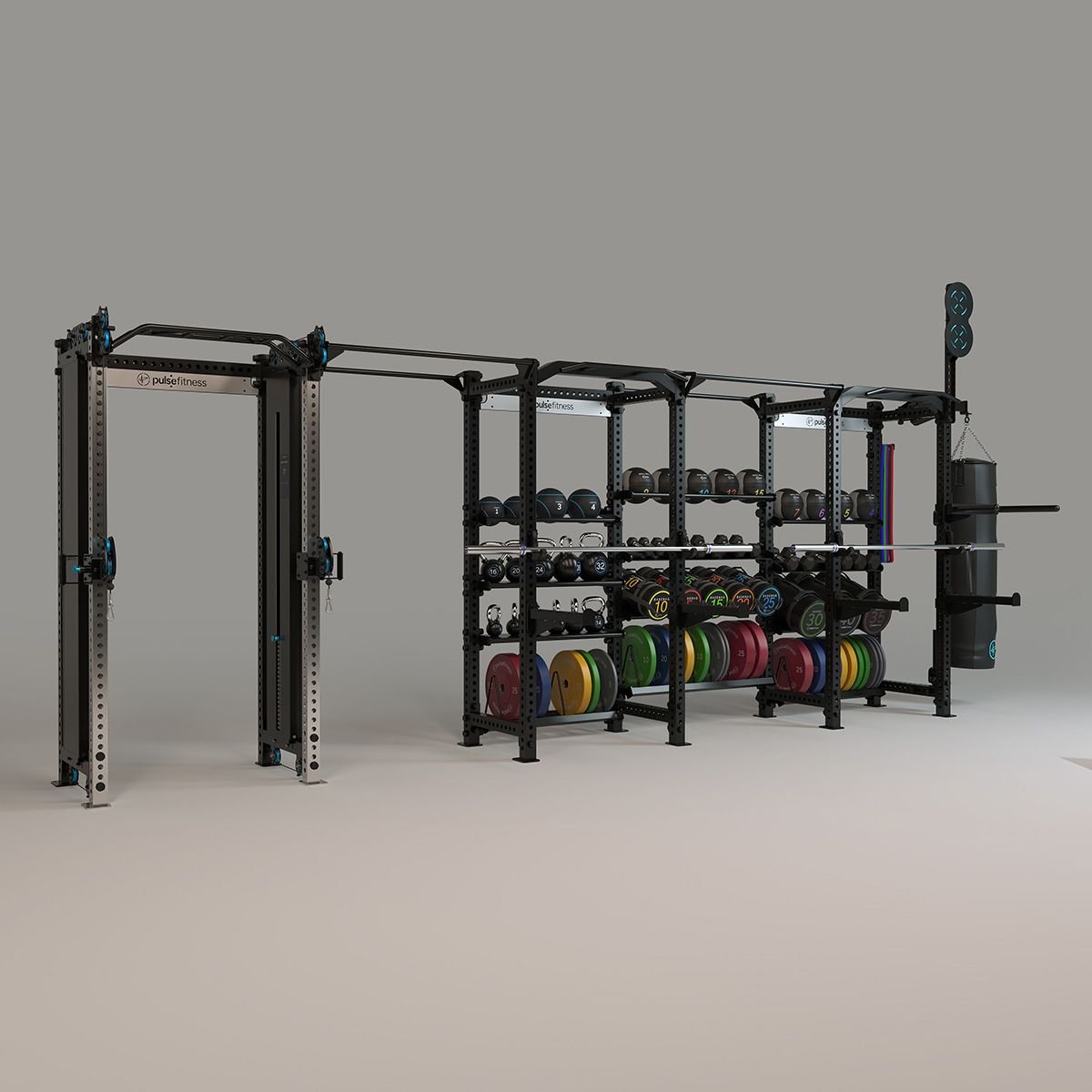 Pulse Fitness Functional training rigs (4)